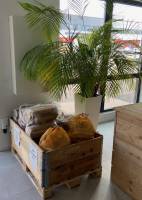 BOIS SPECIAL FOUR TARTES FLAMBÉES - ATF  Brumath prés de Strasbourg Alsace Bas Rhin